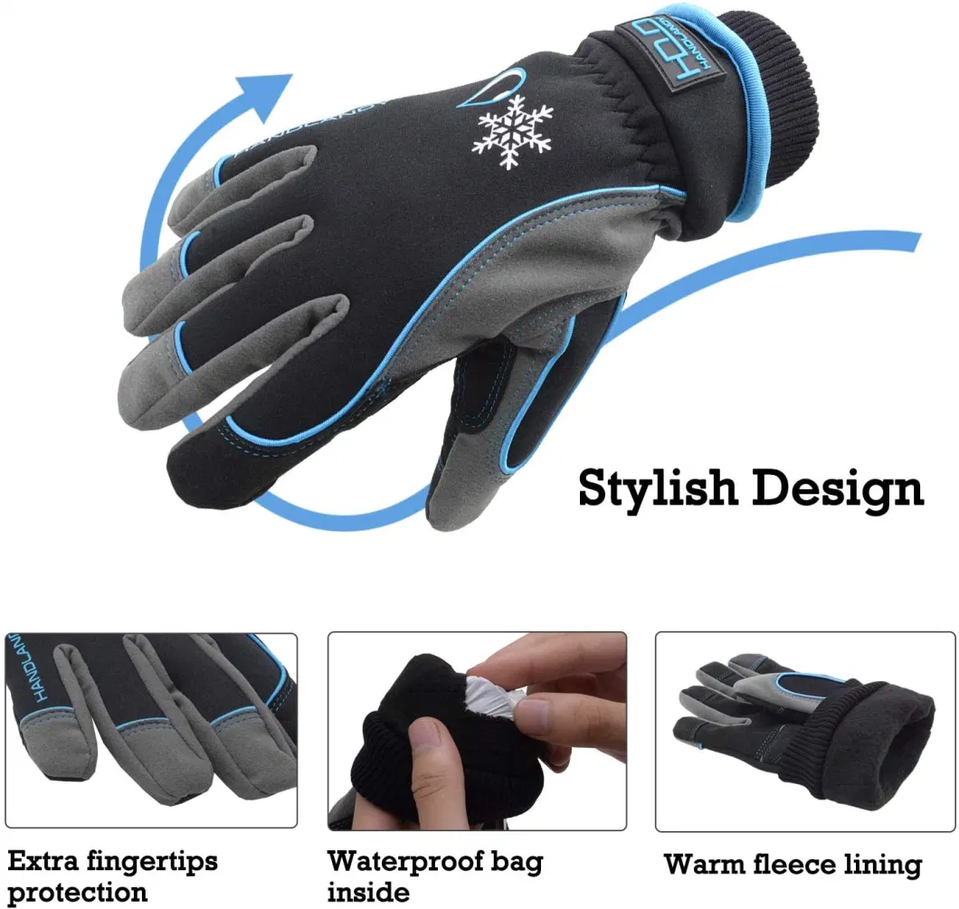 Pri Thermal Cold Weather Outdoor Snowboarding Touch Screen Running Insulated Windproof Waterproof Ski Winter Gloves